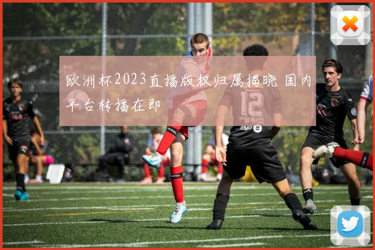 欧洲杯2023直播版权归属揭晓 国内平台转播在即