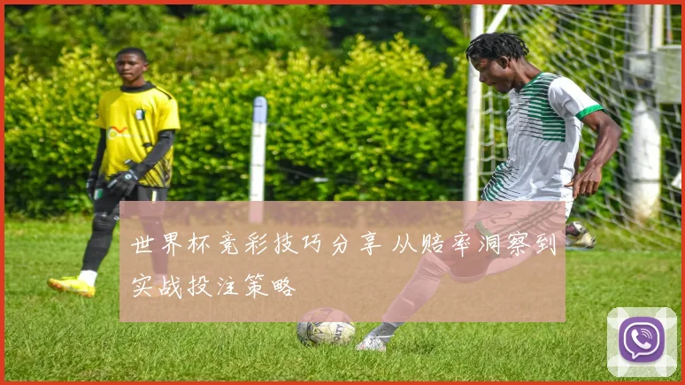 世界杯竞彩技巧分享 从赔率洞察到实战投注策略