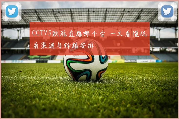 CCTV5欧冠直播哪个台 一文看懂观看渠道与转播安排