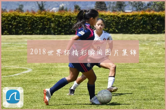 2018世界杯精彩瞬间图片集锦