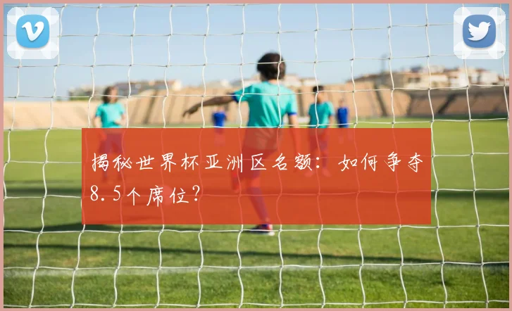 揭秘世界杯亚洲区名额:如何争夺8.5个席位?