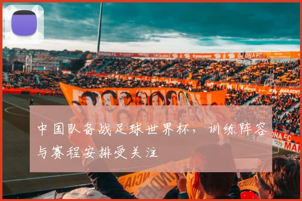 中国队备战足球世界杯，训练阵容与赛程安排受关注