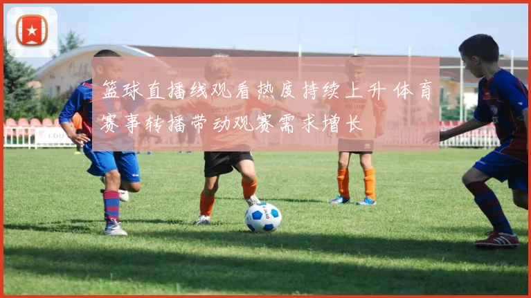 篮球直播线观看热度持续上升 体育赛事转播带动观赛需求增长