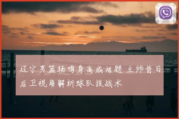 辽宁男篮杨鸣身高成话题 主帅昔日后卫视角解析球队技战术