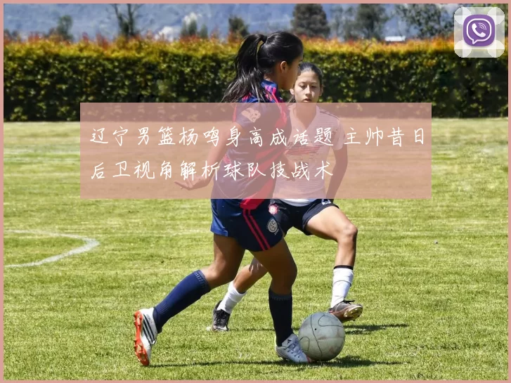 辽宁男篮杨鸣身高成话题 主帅昔日后卫视角解析球队技战术