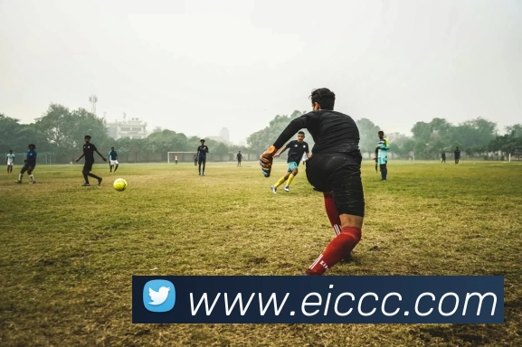 2018世界杯官网服务体系